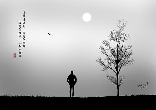 倚楼听风雨,淡看江湖路,雪无踪,情亦无踪