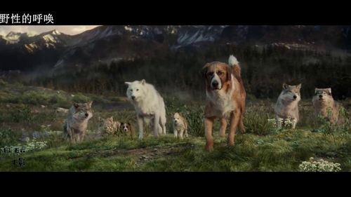 儿童节来了,你应该带孩子看看这部电影!