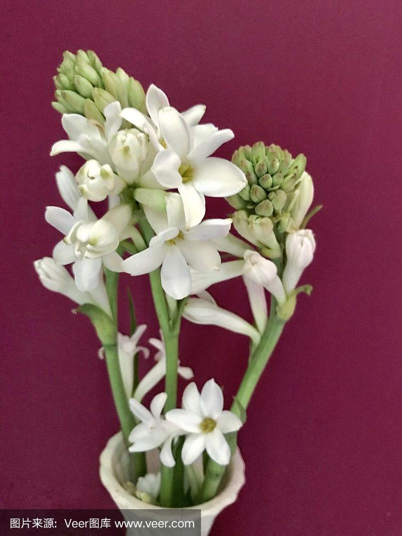 花瓶,晚香玉,花束,白色,芳香的