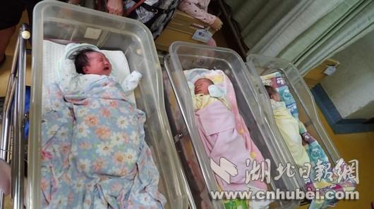 七夕武汉迎来"婴儿潮" 准妈妈们抢生"开学宝宝"
