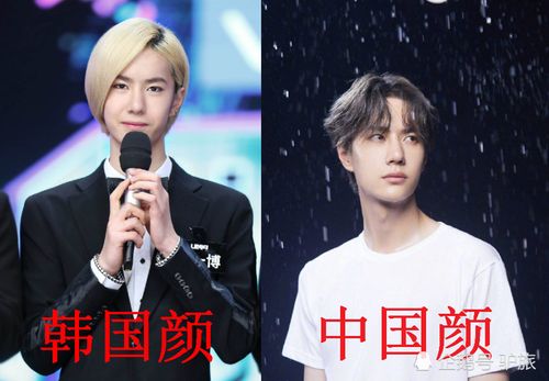 明星中国颜vs韩国颜,王一博帅了,宋雨琦萌了,最后:我收了你
