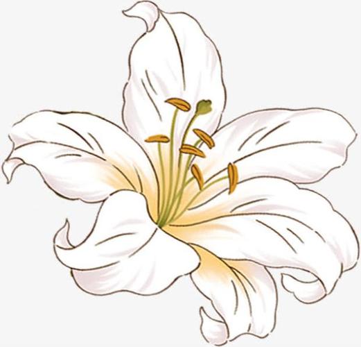 手绘美甲图片百合花 美甲百合花图片大全(4)
