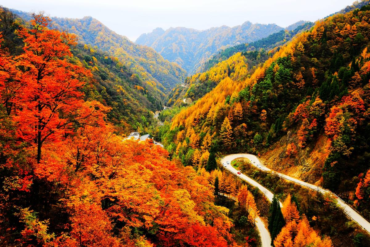 标题:亚洲红叶观光地--光雾山a