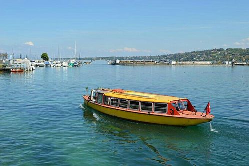 这黄色的小轮船是免费的轮渡,从湖这边开到对岸.