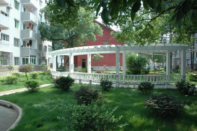 从醴陵二中到上海音乐学院