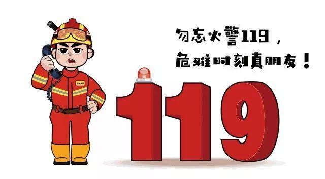 119吗?我是110,我们警犬掉沟里了……"