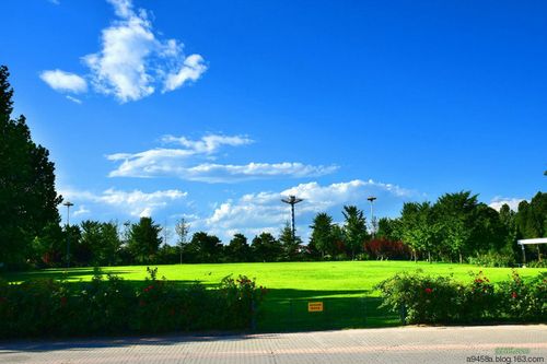 【原创摄影】北京朝阳公园