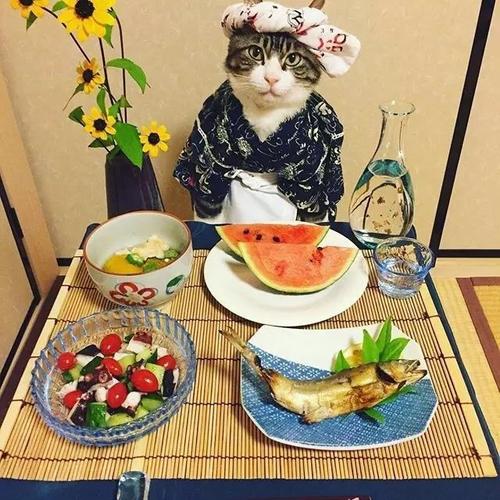 水彩小品～猫咪与美食
