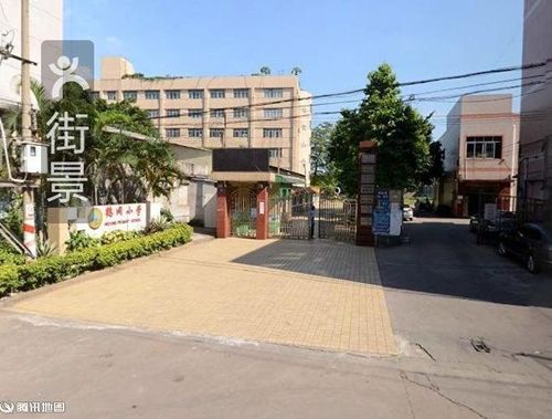 鹤洞小学