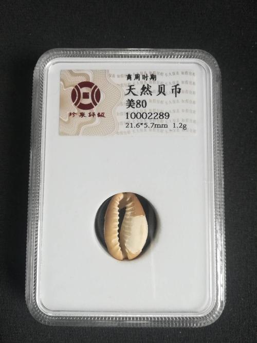 商周时期天然古贝币,珍泉评级美
