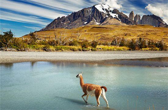 全球十个最值得去的国家公园