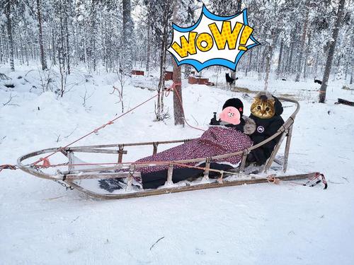 ggdd一定要去芬兰啊啊