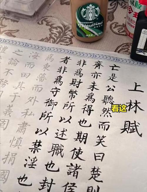 最近网上关于手抄《上林赋》的话题非常的火,大家都在传什么"抄上林赋
