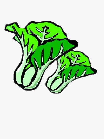 绿色青菜简笔画