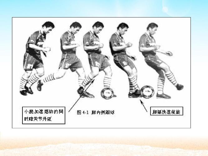 当前第4页) 你可能喜欢 足球说课稿 足球脚内侧传接球 脚内侧传球