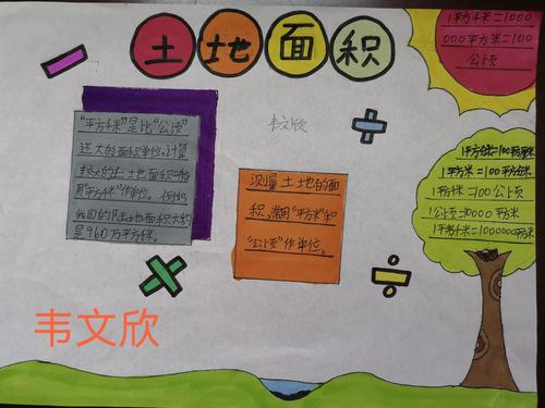 小荷才露尖尖角——1603班《土地的面积》手抄报