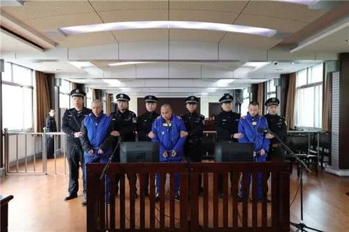 被告人,犯罪案件,济南,庞允盟,法院,谢宜荣,徐献立,杨广阔,庞圆圆,郭