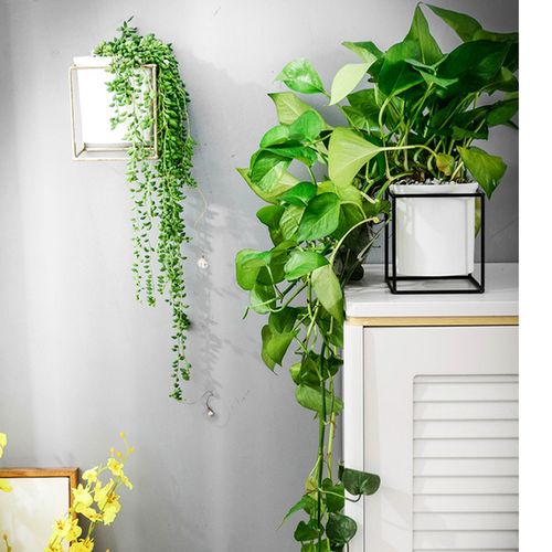 购客墙上花盆陶瓷盆 壁挂 绿萝花盆家用ins室内创意吊兰挂壁水培花器