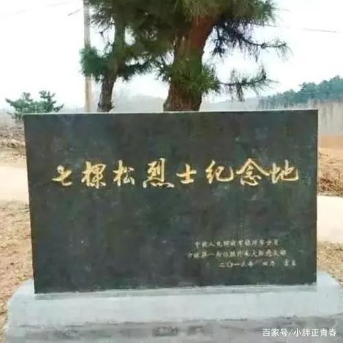 山东临沂,新郎结婚当天,为何前往墓地跪拜?|烈士|先烈