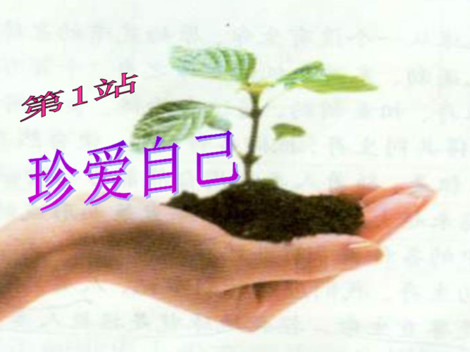 珍爱自己课件
