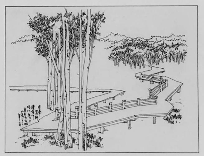 5. 近大远小的"d"