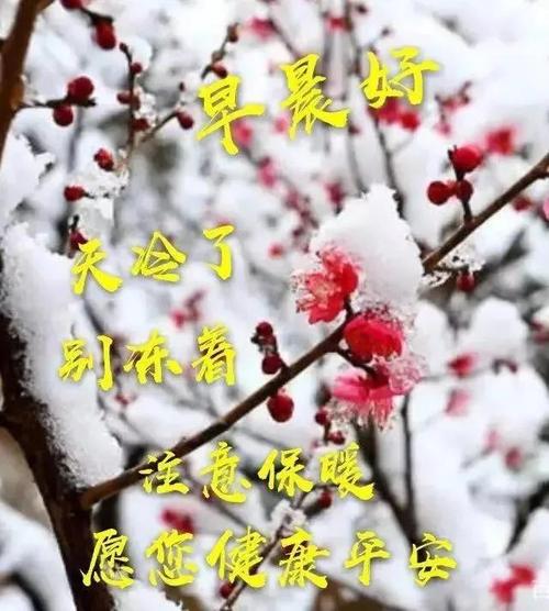 原创7张最美冬日风景雪景早上好祝福图片带字温馨冬日早安图片带字带