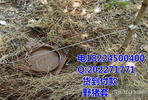 逮套野猪钢丝绳套立式弹簧套横式弹簧套野猪吊脚套抓野猪弹簧套钢丝绳