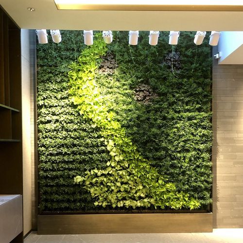 广东垂直绿化植物墙绿植墙种植盒槽蜂巢植物墙花盆容器壁挂围挡墙