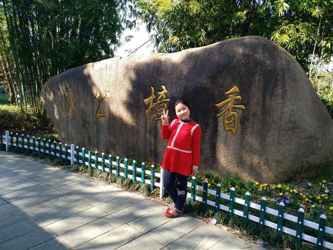儿时的乐园——香樟公园