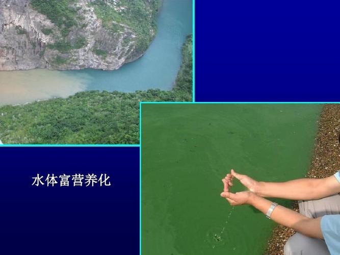 水体富营养化