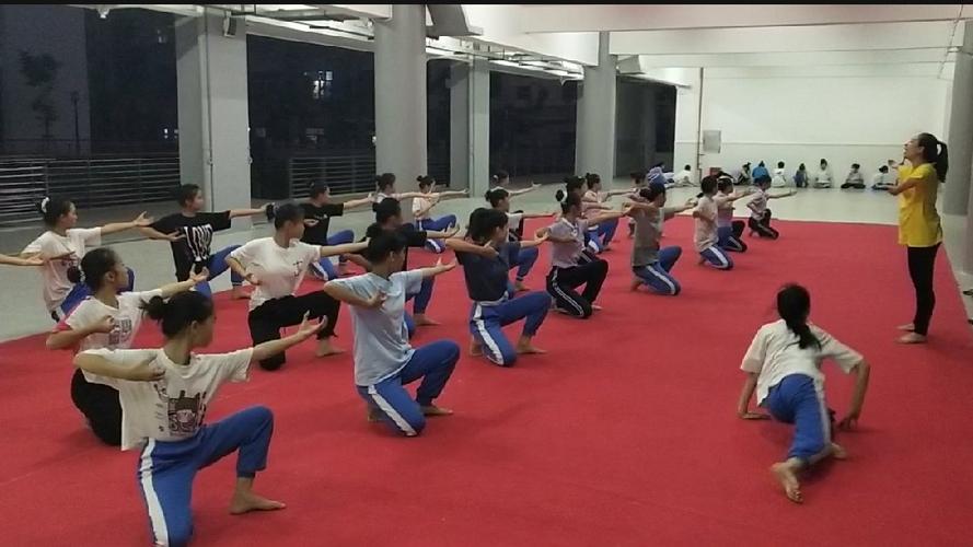不负芳华,方得始终——崖城(南开)中学舞蹈队日常训练
