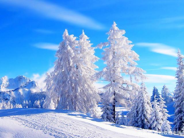东北雪乡#黑龙江北部小兴安岭伊春市雪景