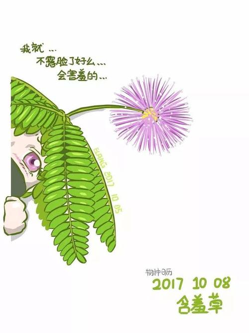 含羞草有毒?那我也要调戏它!