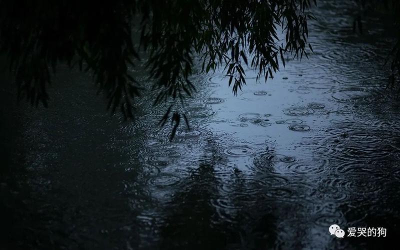 何当共剪西窗烛,却话巴山夜雨时.