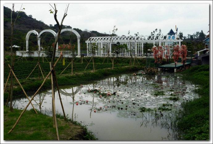 丹樱生态园广东省汕头市濠江区河浦大道中段