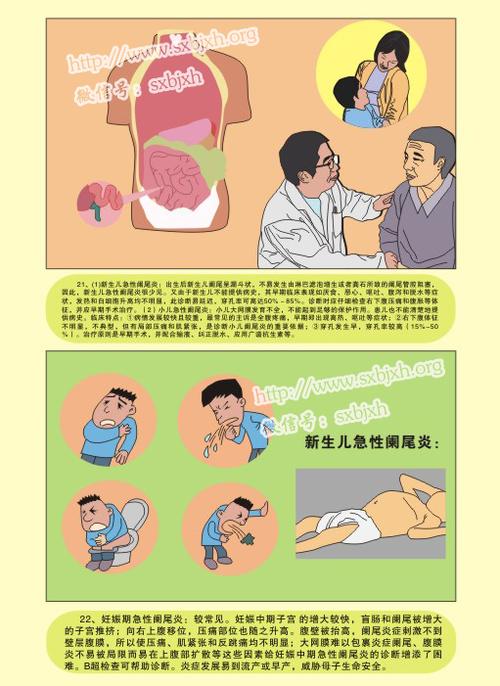 图解疾病 阑尾炎