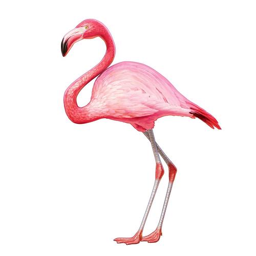 45" flamingo jointed cutout 45 "フラミンゴジョイントカットアウト