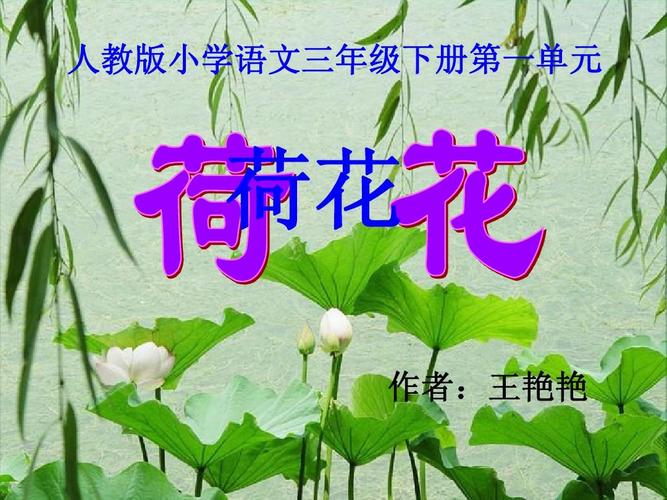 《荷花》ppt之一课件(苏教版三年级语文下册课件)