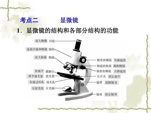 中考科学总复习:专题1《观察多种多样的生物》ppt课件
