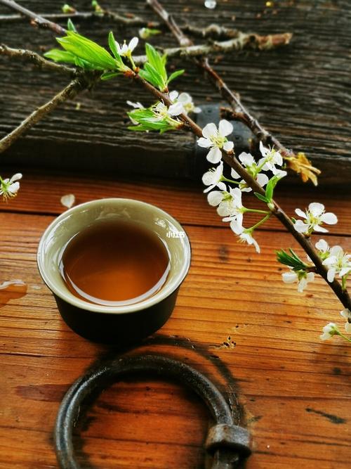李花浅白开自好 一杯清茶醉其中_美食_美食_美食展示