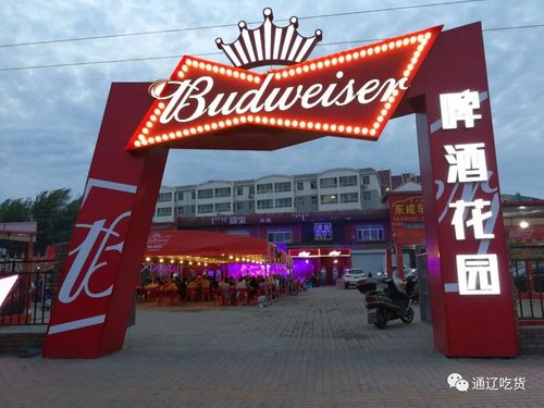 烤串啤酒劲歌热舞在百威啤酒花园嗨起来啊大哲推荐no308