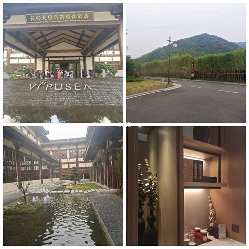 长兴大唐贡茶璞仕酒店_长兴城山沟景区_自然风光分享_出行_出行攻略