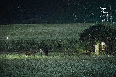 收集   点赞  评论  #孤单又灿烂的神-鬼怪# 孔刘 壁纸(cr:蓝色蒲公英