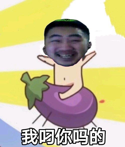 积攒的飞机就等的茄子开播的时候刷了~ wdnmd,a1高闪来一个好吗~估计