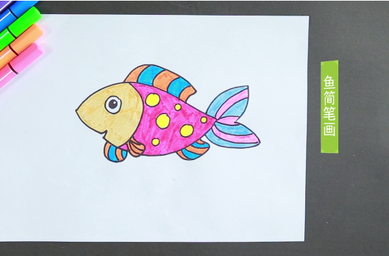 5,最后用水彩笔给鱼涂上好看的颜色就可以了.