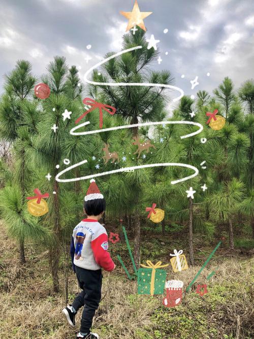 真实的圣诞树9098_圣诞树_家居家装_家居装饰