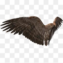 恶魔翅膀图片大全