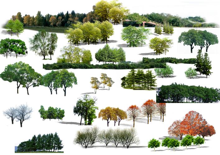 ps植物素材,花灌类