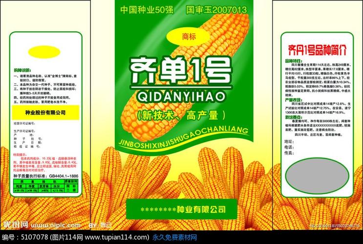 玉米种子包装玉米大田模板_图片114