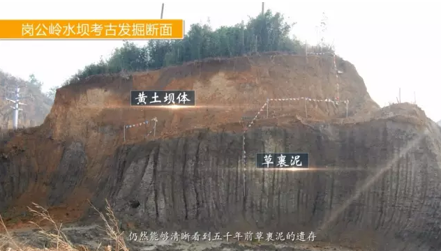 该水利系统位于良渚古城西北部山地与平原的交界处